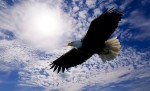 soar-on-eagles-wings