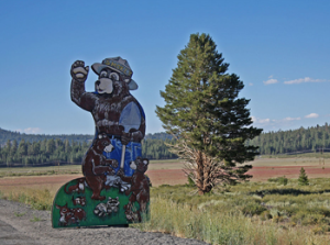 WisdomofSmokeyTheBear