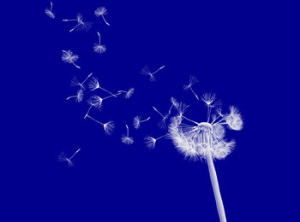 endingsandbeginnings