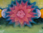 The Rose and the Lotus