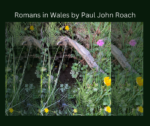 The Romans in Wales poem by Paul John Roach