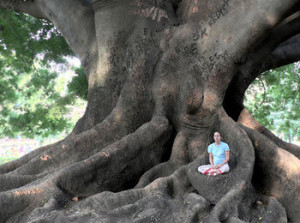 the-power-of-mindfulness